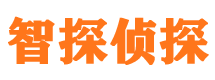 江安市侦探调查公司